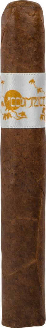 PRINCIPLE THE ACCOMPLICE CLASSIC WB TORO D-F-20 TT