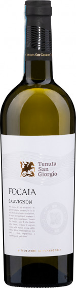 TSG FOCAIA SAUVIGNION 2024