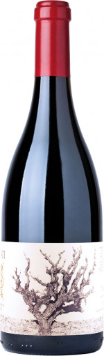 Recanati Wild Carignan Reserve 2019