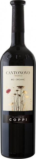 CANTONOVO PRIMITIVO 2019