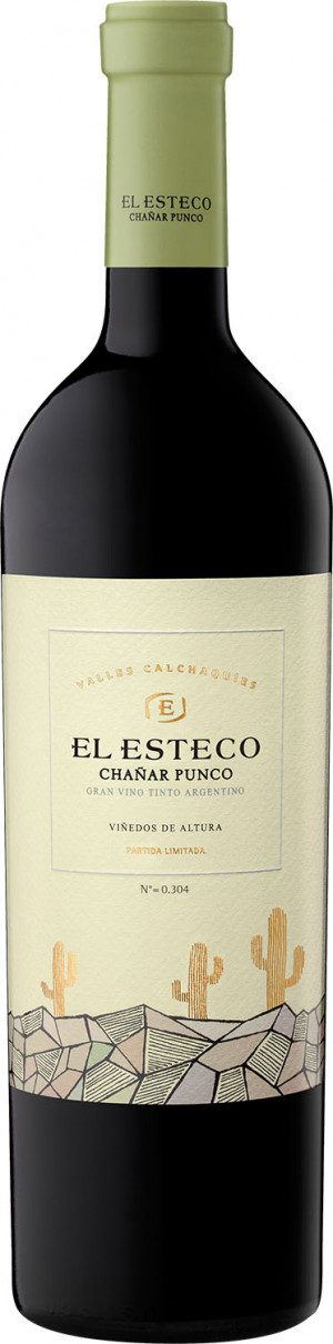 El Esteco Chanar Punco