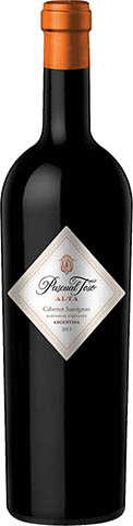 PASCUAL TOSO ALTA CABER SAUVIGNON 2014 0,75