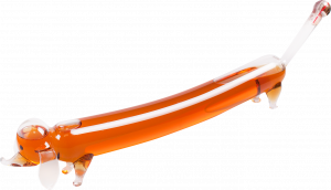 Dachsund - Jamnik
