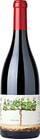 RECANATI RESERVE SYRAH/VIOGNIER 0,75